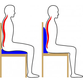 Anatomicky tvarovaný podsedák a bederní opěrka